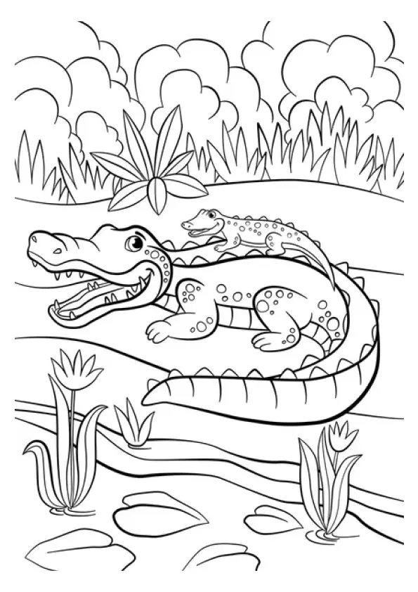 Alligator Coloring Pages – 007