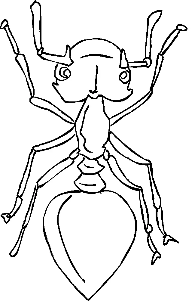 Ants Coloring Pages – 003