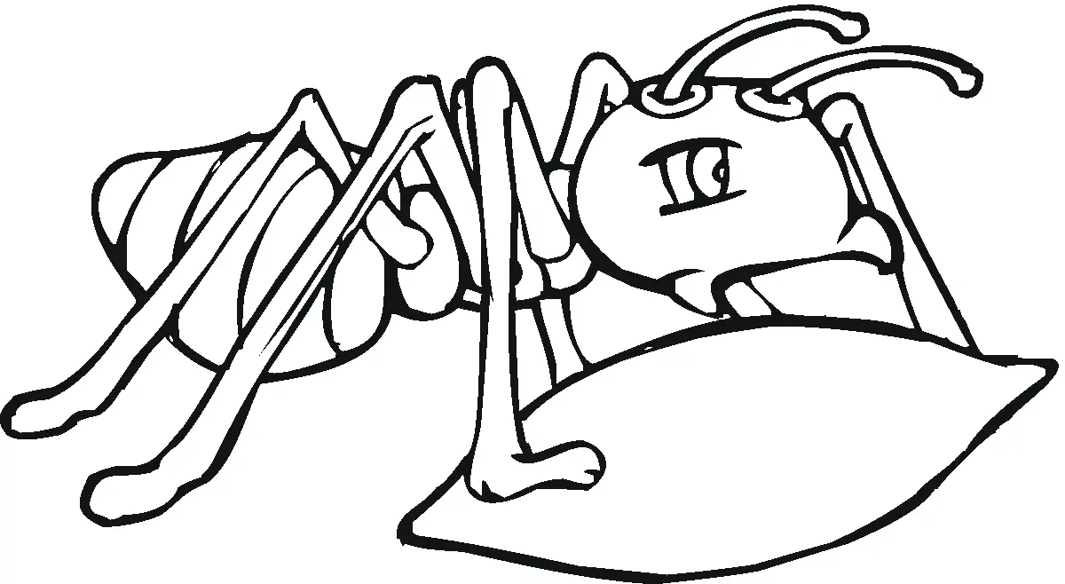 Ants Coloring Pages – 019