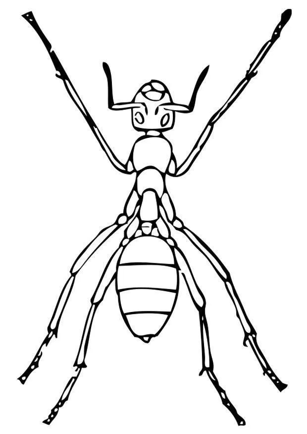 Ants Coloring Pages – 023
