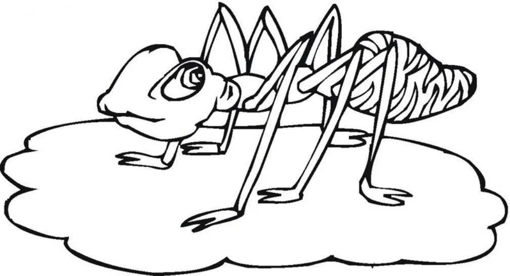 Ants Coloring Pages – 026