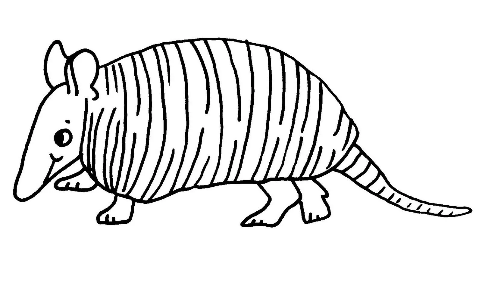 Armadillo Coloring Pages – 004