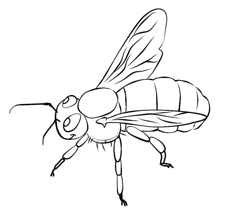 Bees Coloring Pages – 008