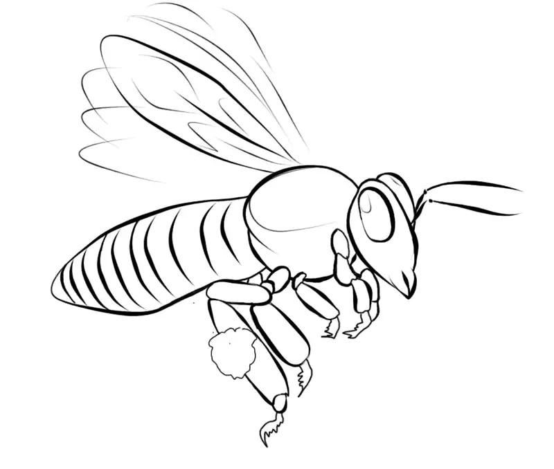 Bees Coloring Pages – 010
