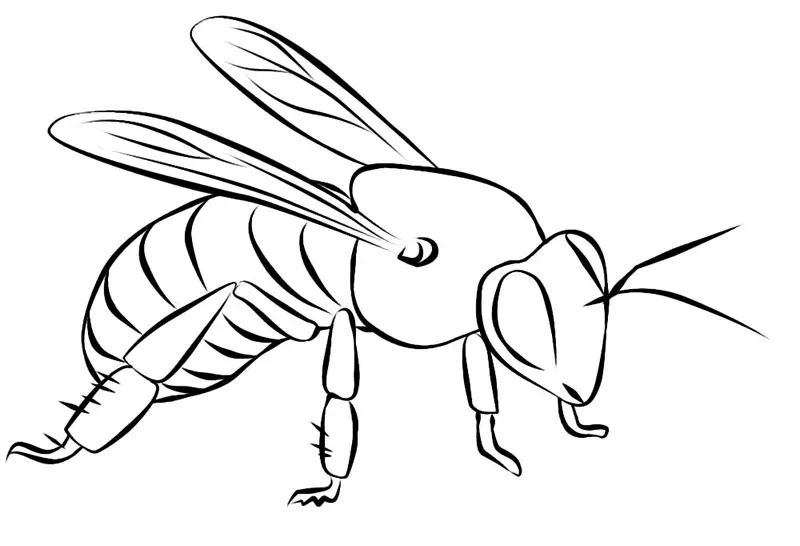 Bees Coloring Pages – 012