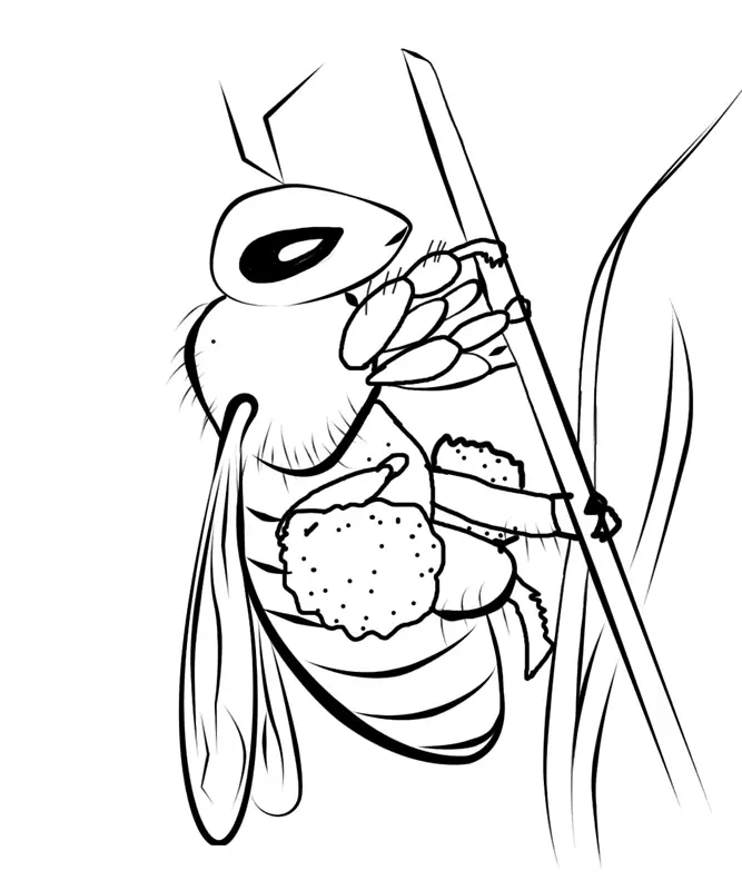 Bees Coloring Pages – 013