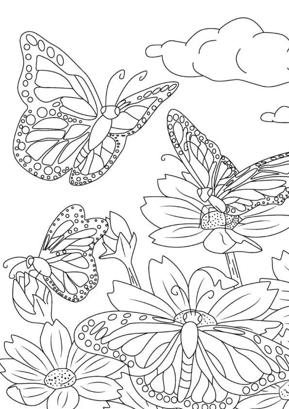 Butterflies Coloring Pages – 024