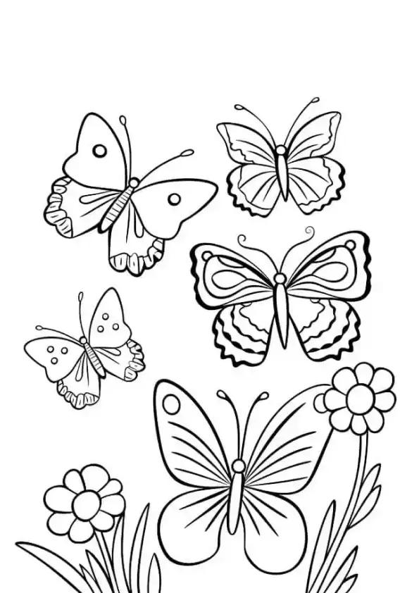 Butterflies Coloring Pages – 026