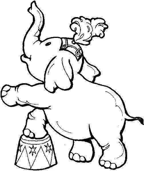 Circus Coloring Pages – 004