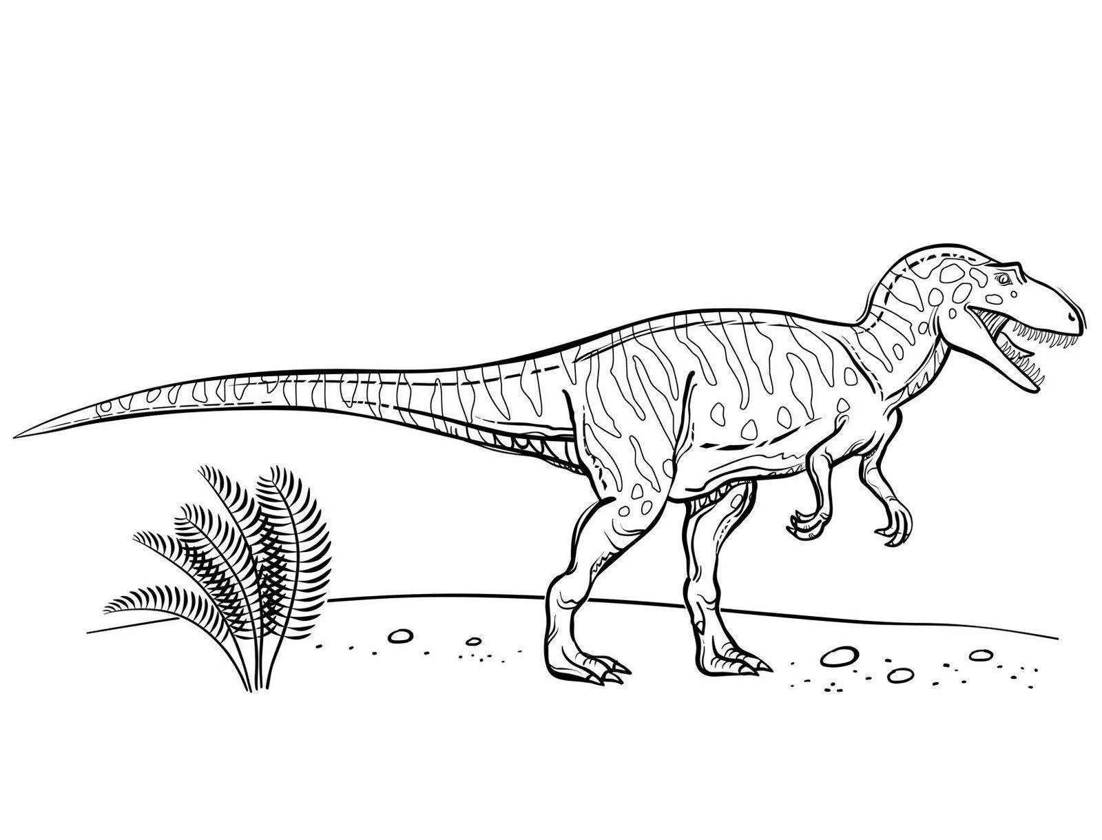 Dinosaurs Coloring Pages – 003