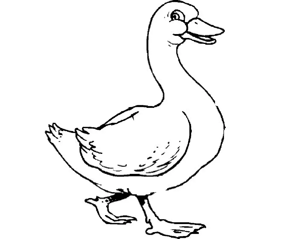 Ducklings Coloring Pages – 004