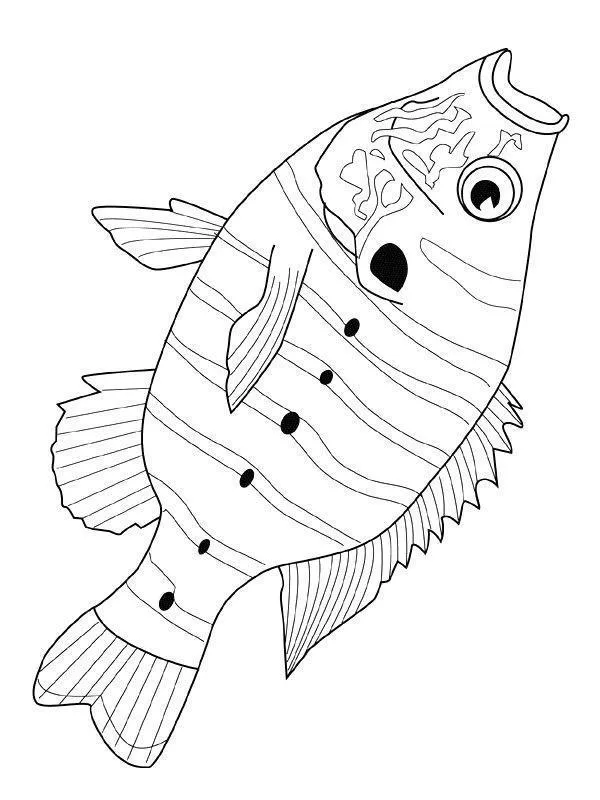 Fish Coloring Pages – 002