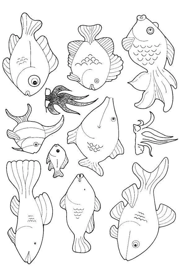 Fish Coloring Pages – 009