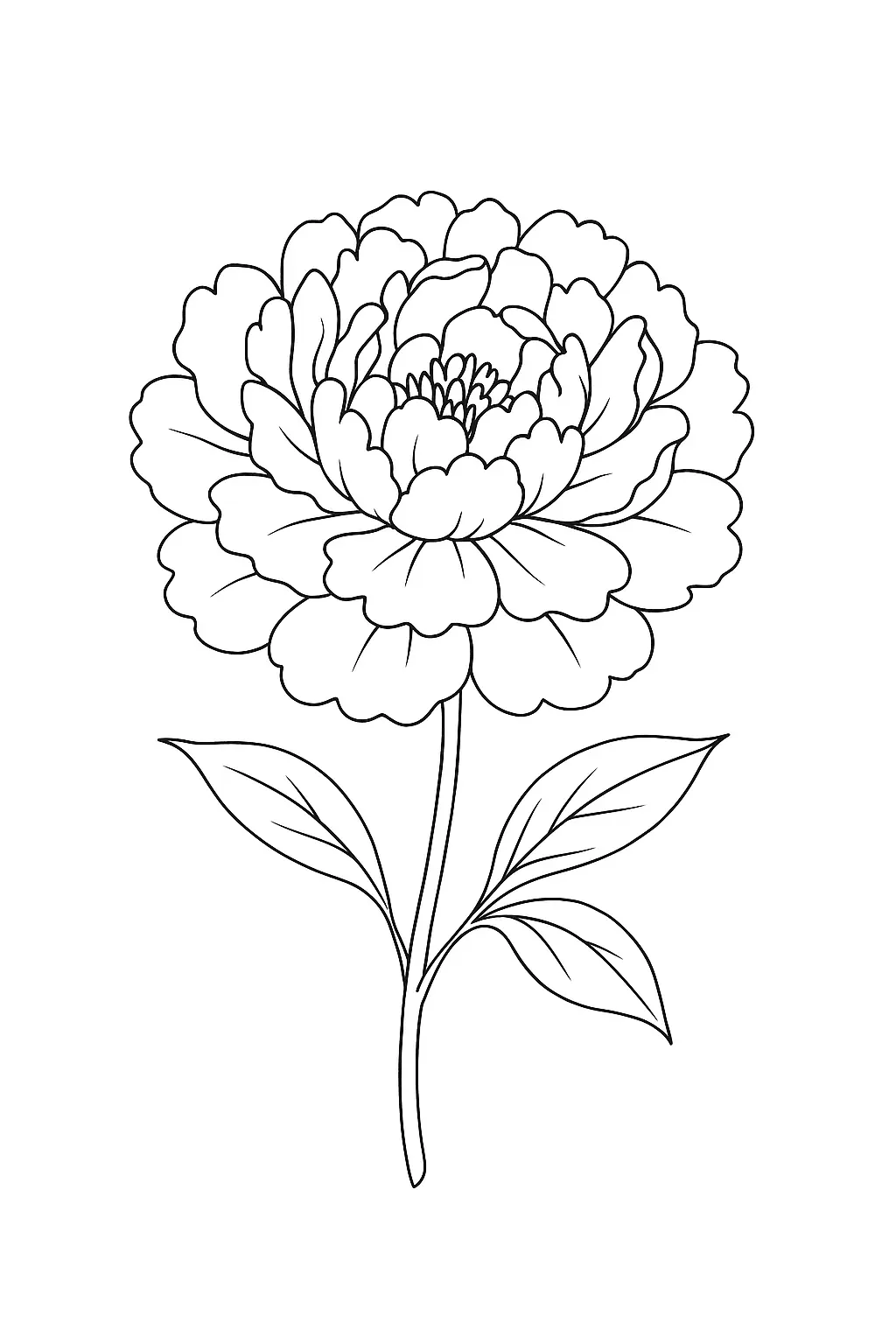 Flowers Coloring Pages – 037