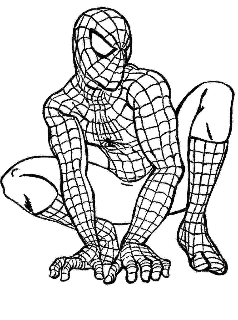 Homem-Aranha Coloring Pages – 007