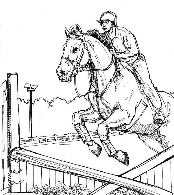 Horses Coloring Pages – 005