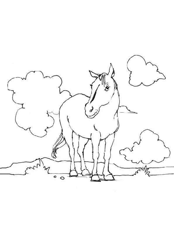 Horses Coloring Pages – 008