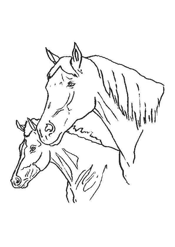 Horses Coloring Pages – 011
