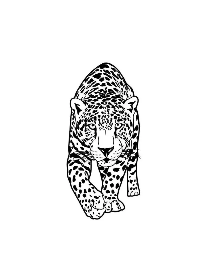 Jaguar Coloring Pages – 010
