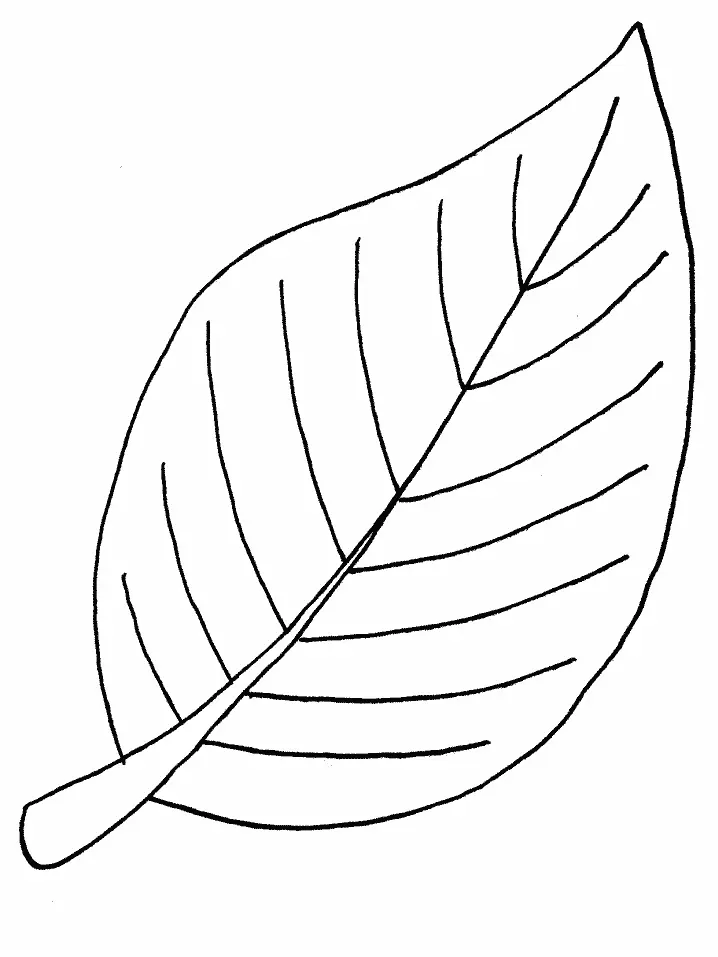 Leaves Coloring Pages – 007