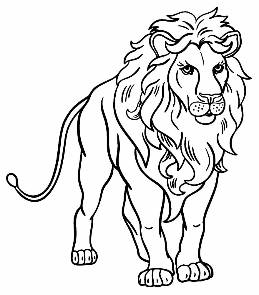 Lions Coloring Pages – 003