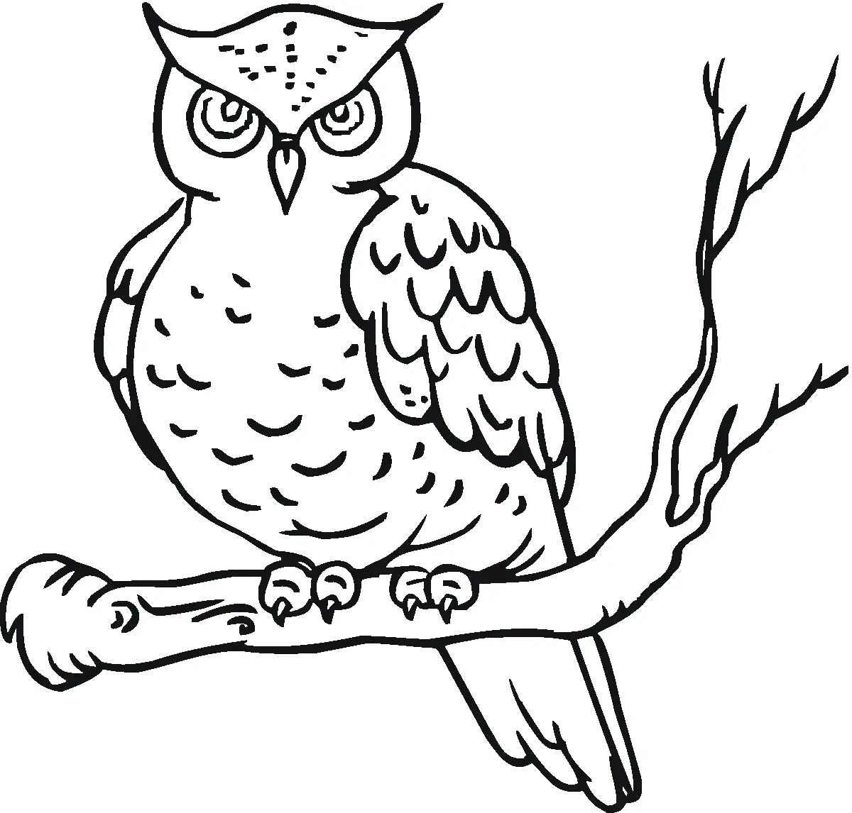 Owls Coloring Pages – 032