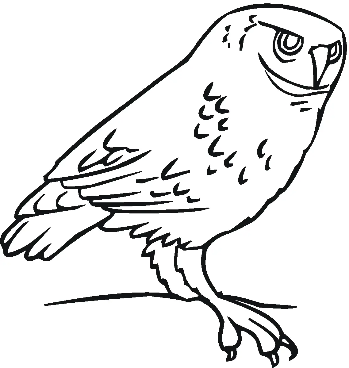 Owls Coloring Pages – 035