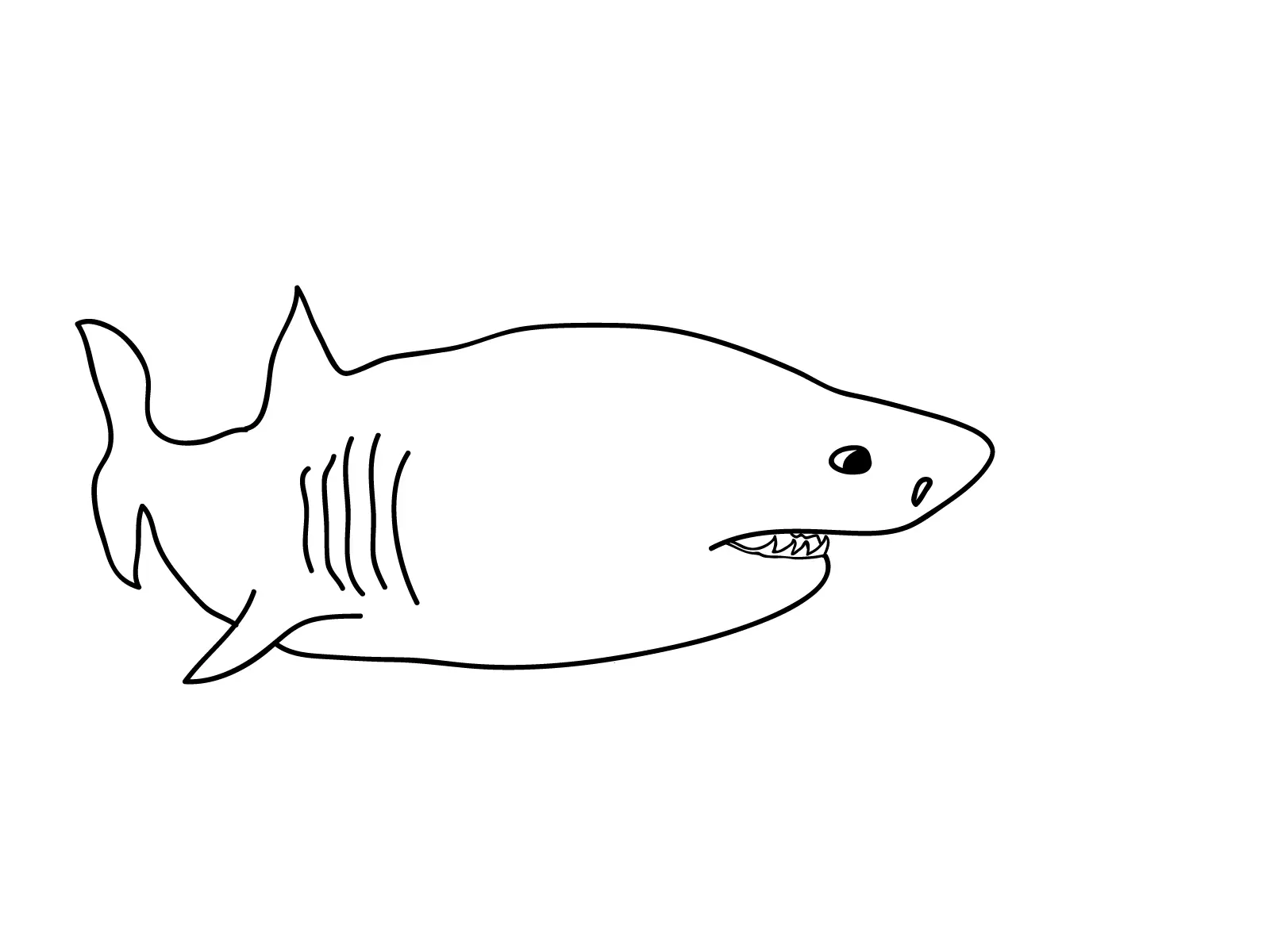 Sharks Coloring Pages – 002