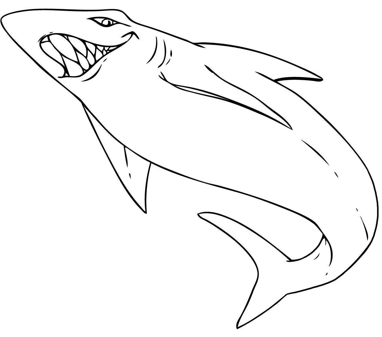 Sharks Coloring Pages – 015