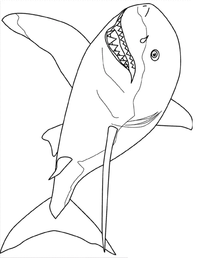 Sharks Coloring Pages – 017