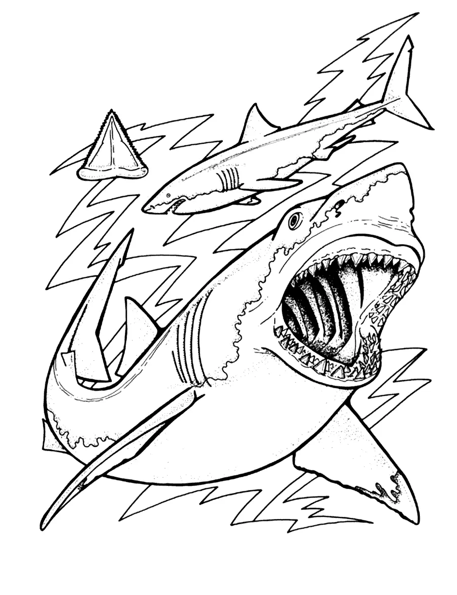 Sharks Coloring Pages – 019