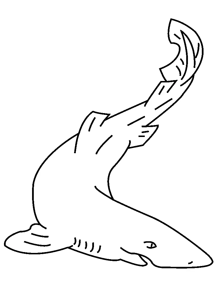 Sharks Coloring Pages – 020