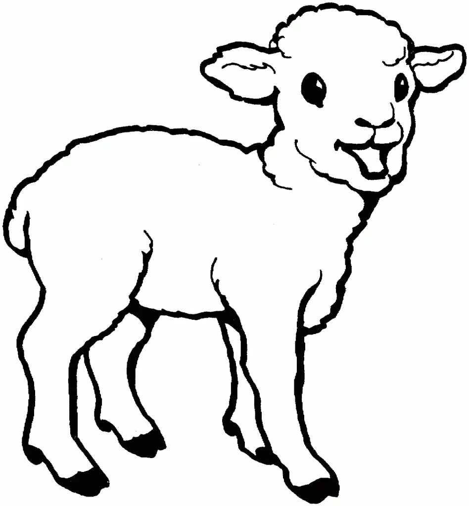 Sheep Coloring Pages – 005