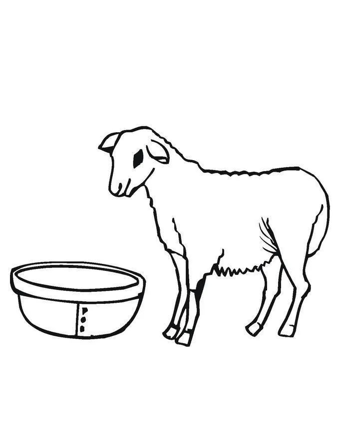 Sheep Coloring Pages – 007