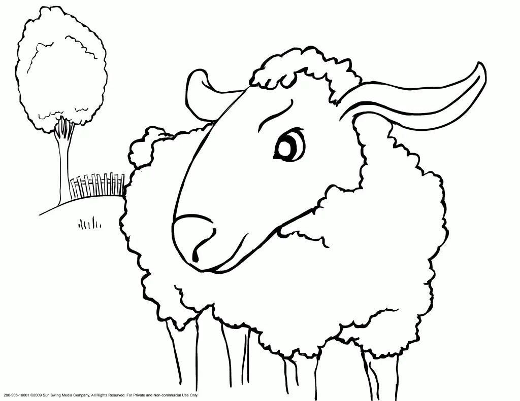 Sheep Coloring Pages – 009