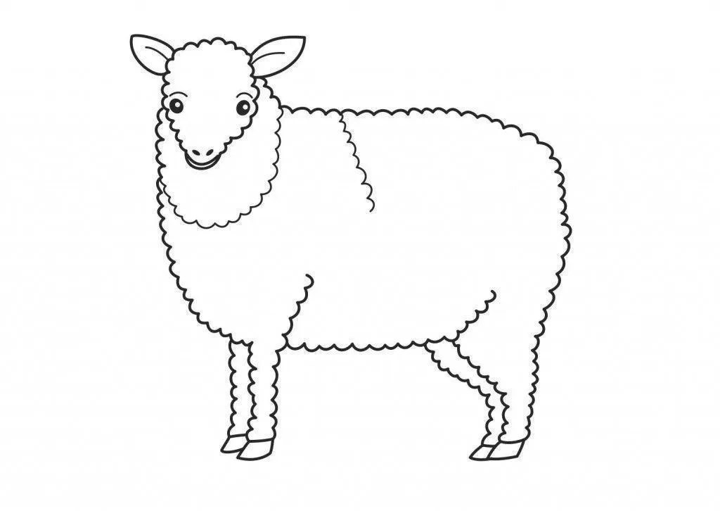 Sheep Coloring Pages – 010