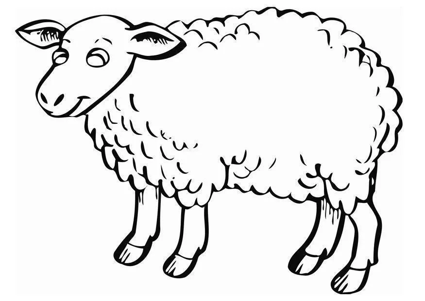 Sheep Coloring Pages – 012