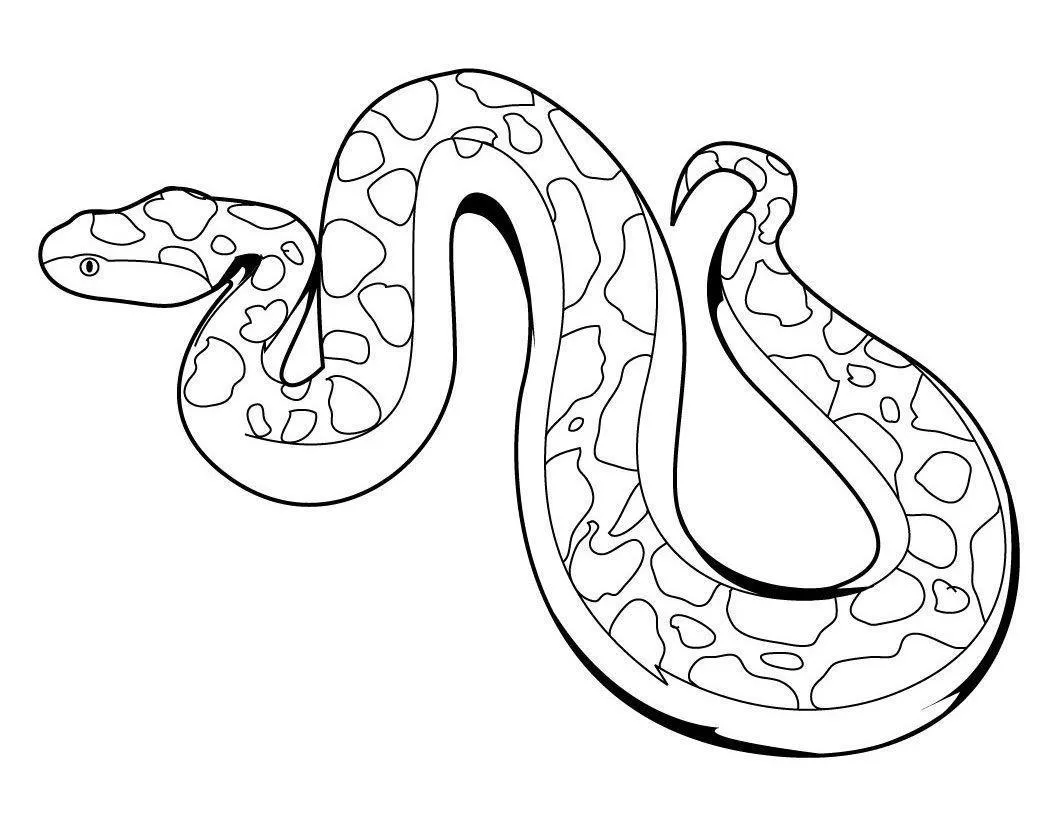 Snakes Coloring Pages – 007