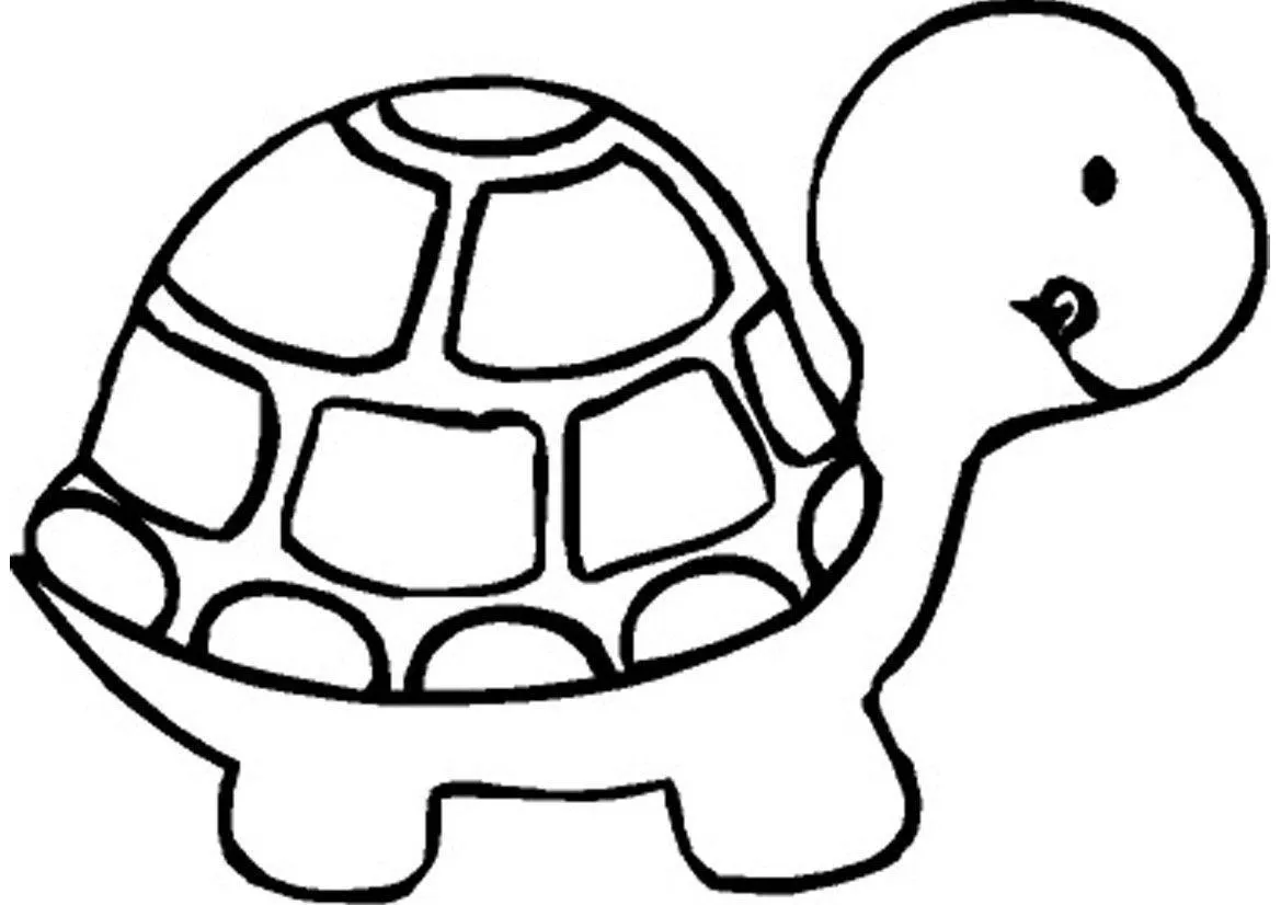 Turtles Coloring Pages – 008