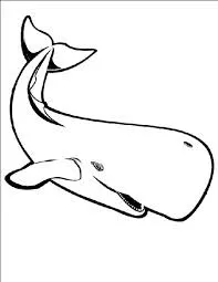 Whales Coloring Pages – 006