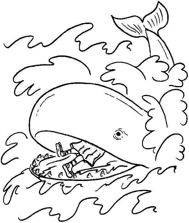 Whales Coloring Pages – 013
