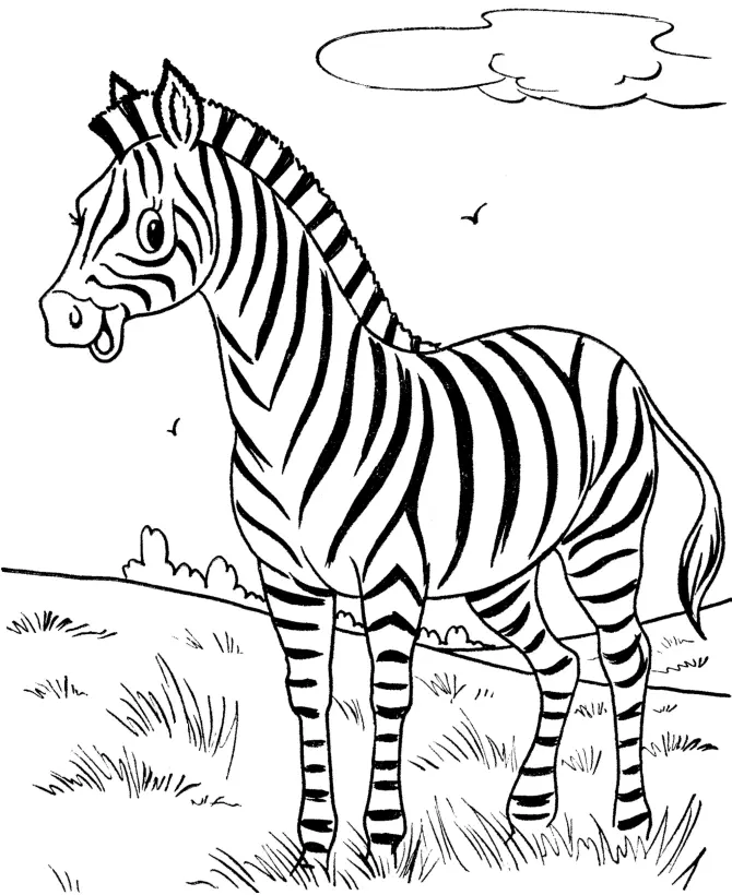 Zebras Coloring Pages – 006